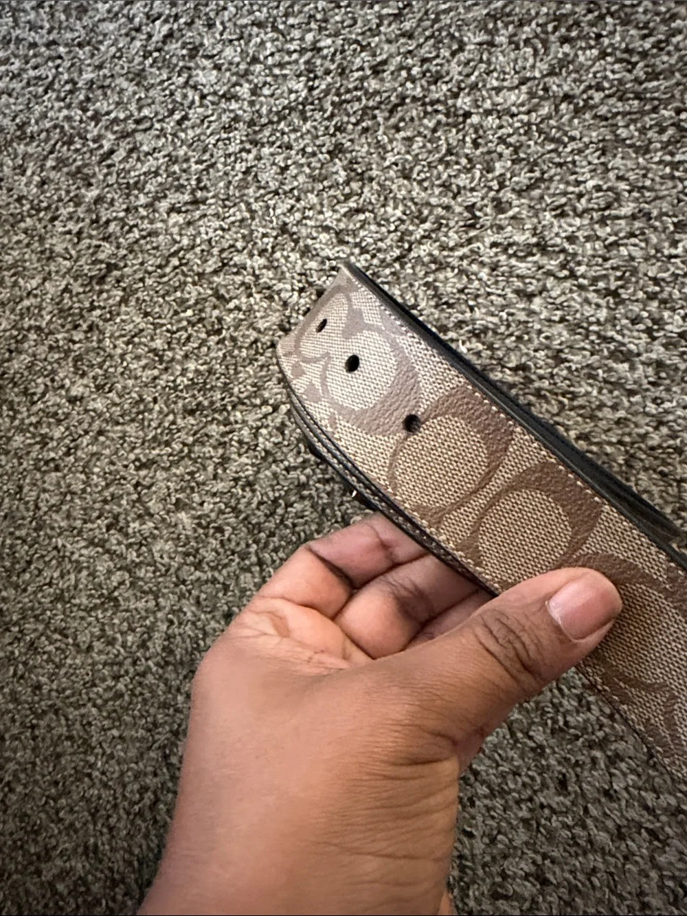 Coach Signature Canvas Belt in Khaki and Brown